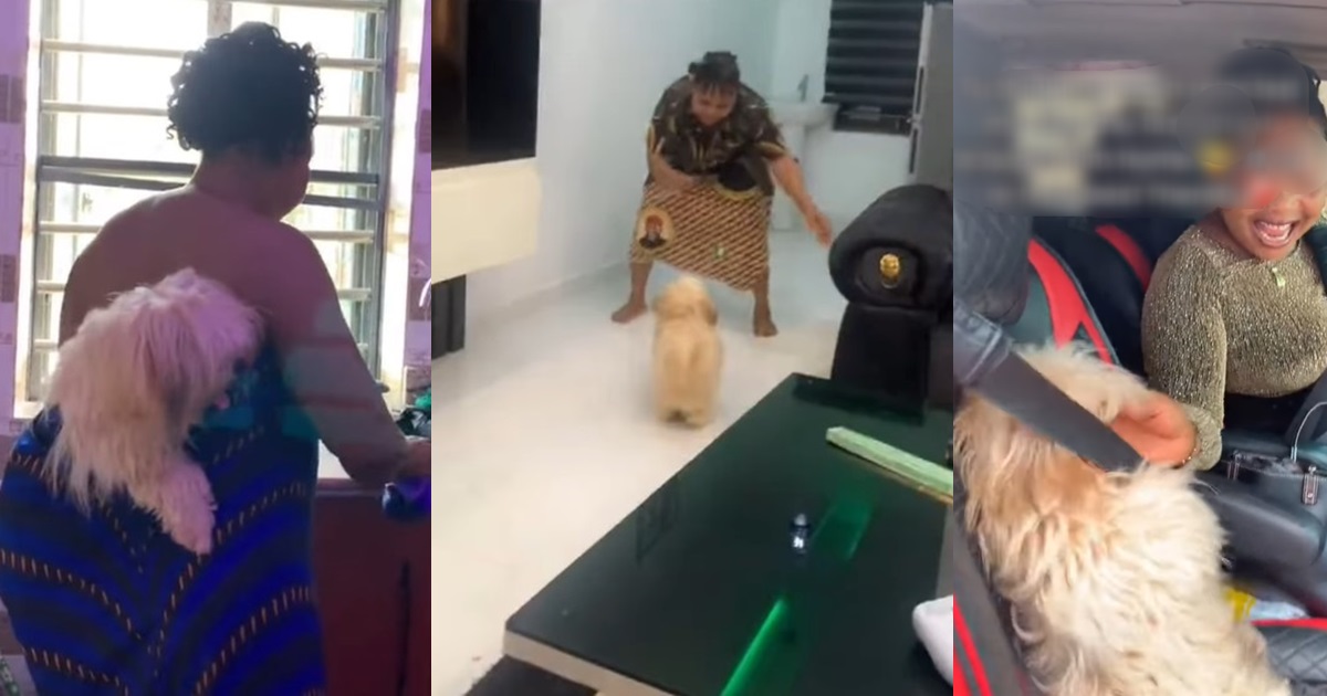 “She needs grandchildren” – Netizens React as Nigerian Woman and Her Pet Dog Display Unconditional Love (VIDEO)