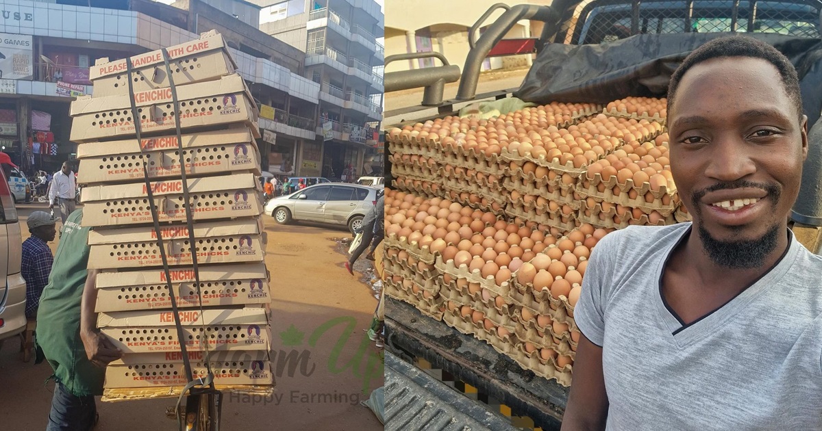 Retired doctor showcases 4 years’ progress from obtaining his chickens by bicycle to delivering the eggs by Hilux