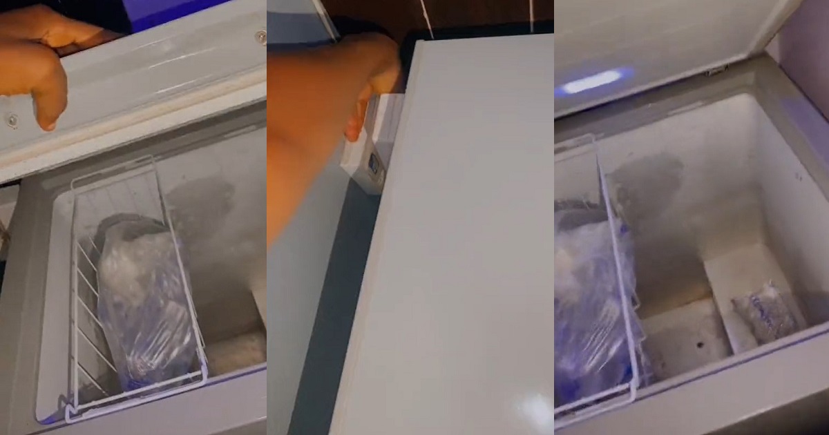 Lady shows off her 15K fridge that ‘roars’ whenever it’s powered on (VIDEO)