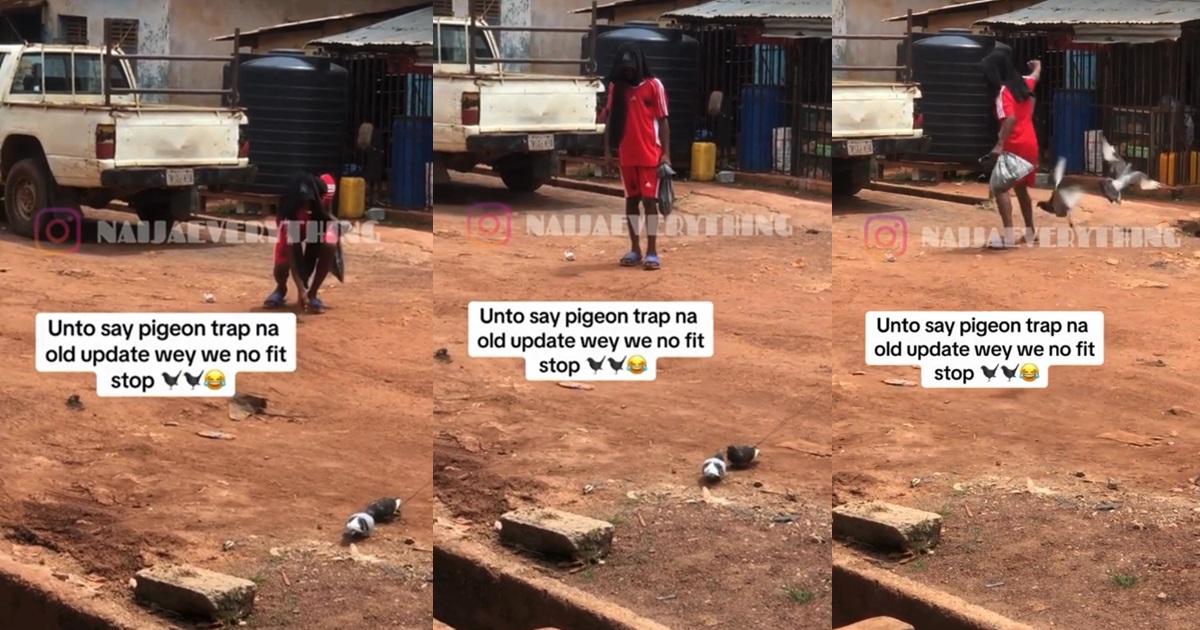 “Why una go dey chop bird, cow meat don finish?” – Netizens react to video of a young man trapp!ng and catch!ng two pigeons with thread