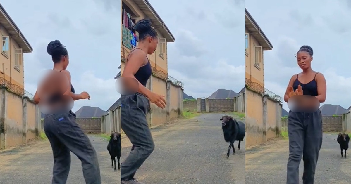 Hilarious moment a ram chases after a lady doing the trending “Gwor Gwor Gwor Ngwor” challenge (VIDEO)