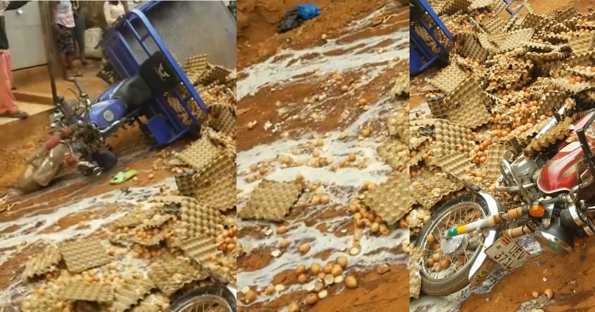 Outr@ge as “okada” man ran into a tricycle conveying crates of egg (VIDEO)