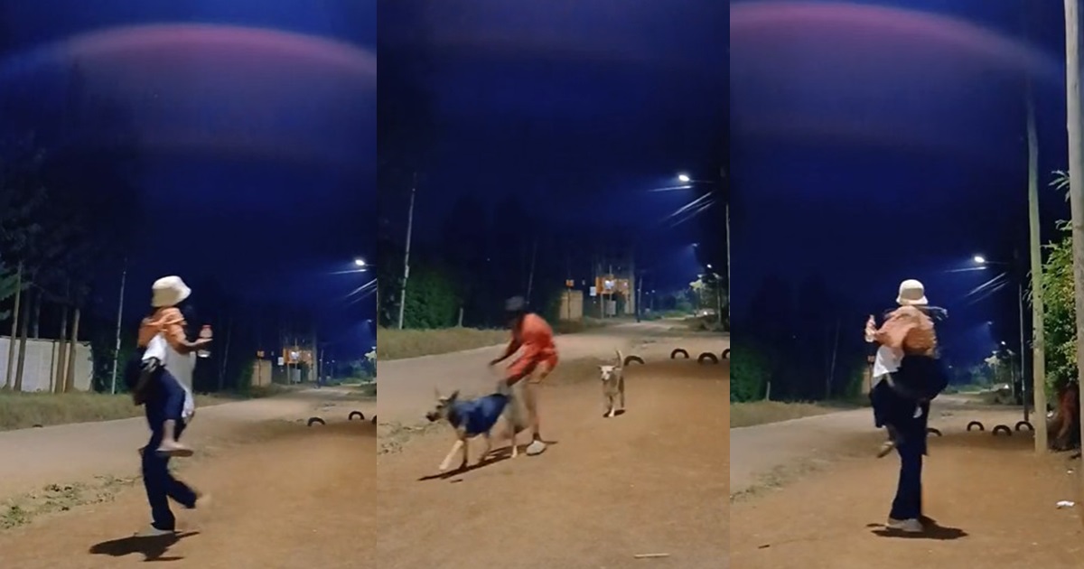 “Even dog dey vex for relationship people” – ‘Single pringles’ celebrates as street dogs disrupt a couple’s video shoot (WATCH)