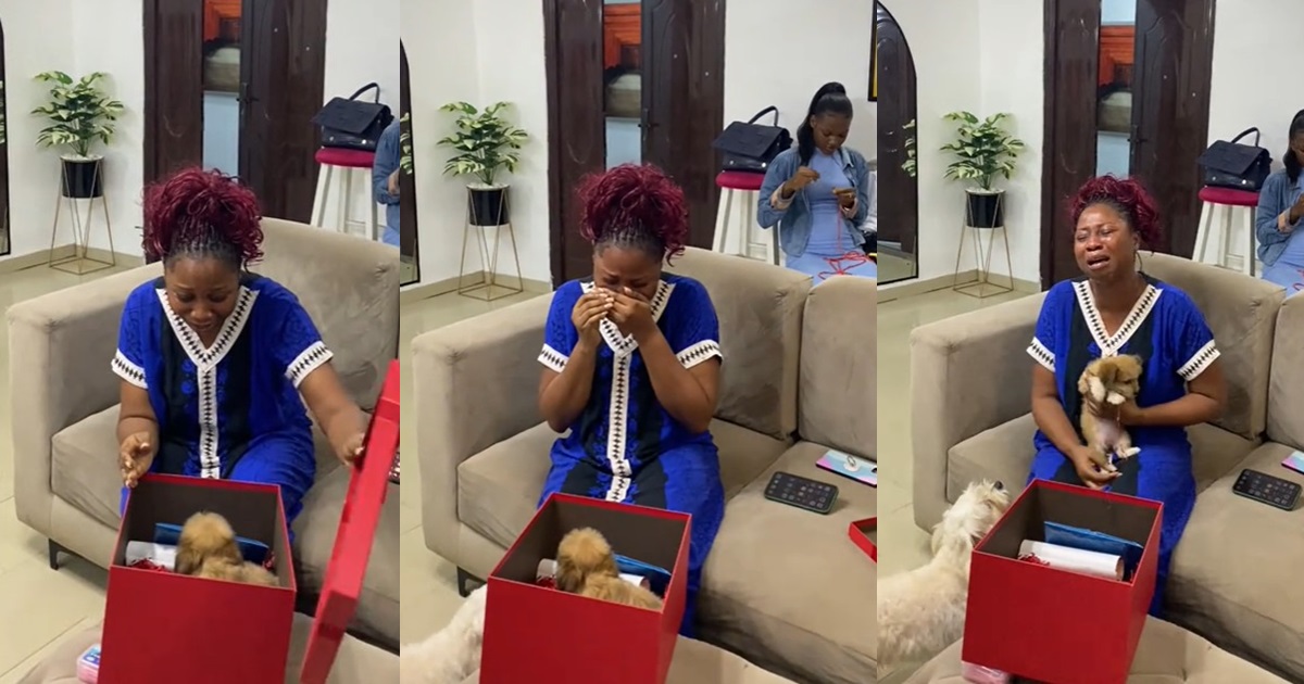 “I got the cutest gift on my birthday” – Lady got surprised with a new puppy after l0sing her dog in May (VIDEO)