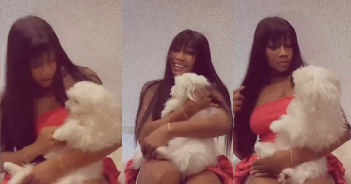 “The way she dropped the dog ehn” – Lady narrowly esc@pes dog b!te while petting friend’s dog (VIDEO)