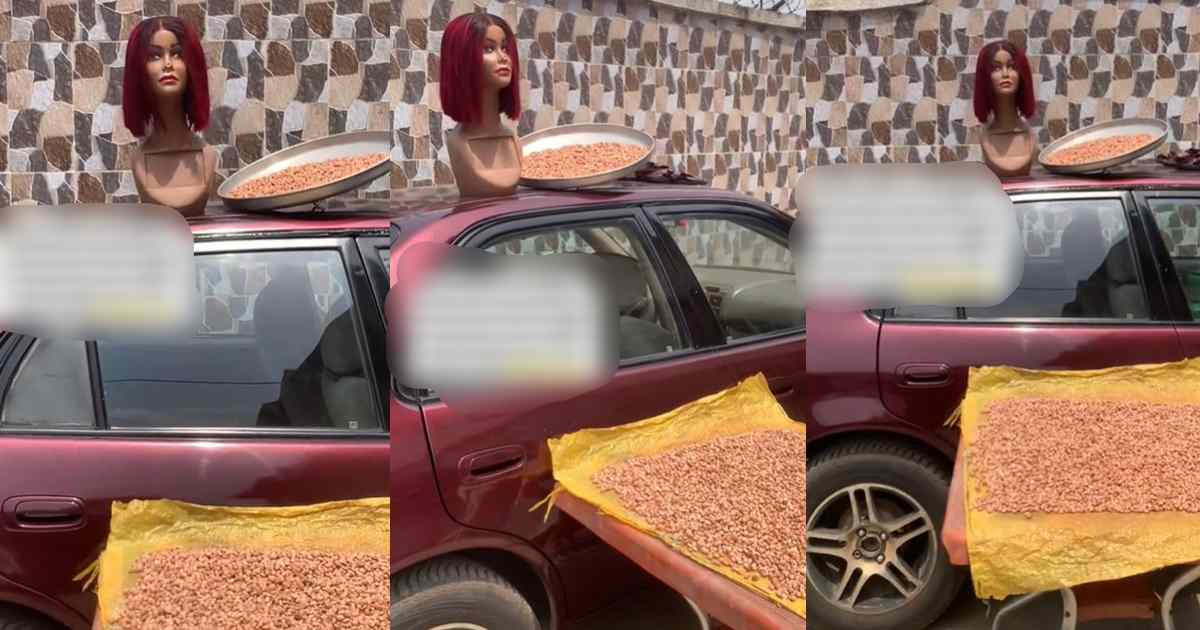 “I go soon pack comot from this house” – Lady stúnned after her mother utilizes her bone straight wig as a scarecrow to scare away birds (WATCH)