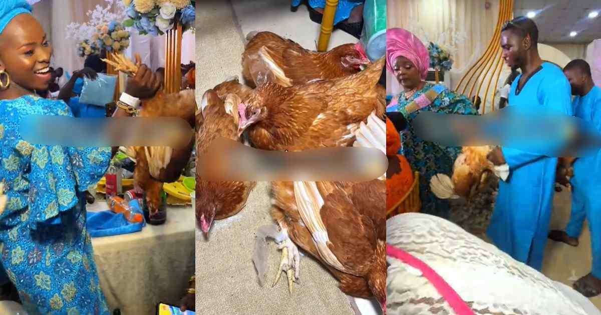 Groom’s mum sets a standard, shares live chicken as a souvenir to guests at her son’s wedding (VIDEO)