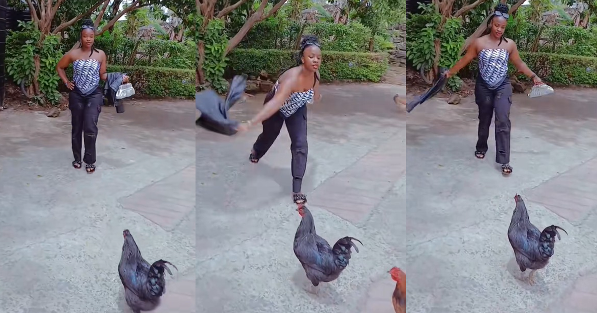 Lady shares her strúggles to take quality pictures in an African home after two cocks disrúpted her video shoot (WATCH)