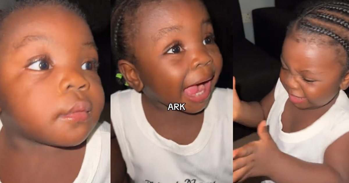 “Noah and the Ark” – Toddler shares lesson she learnt during Sunday School class at church (WATCH)
