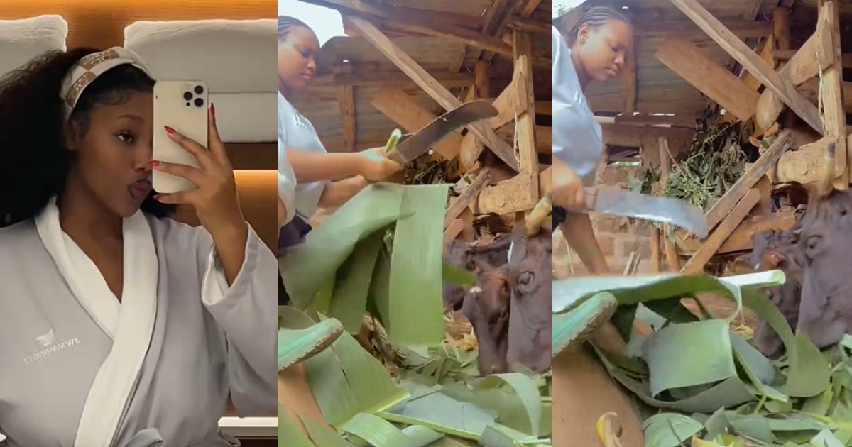 “Just a girl from the village” – Lady says as she compares her university lifestyle to living at home (WATCH)