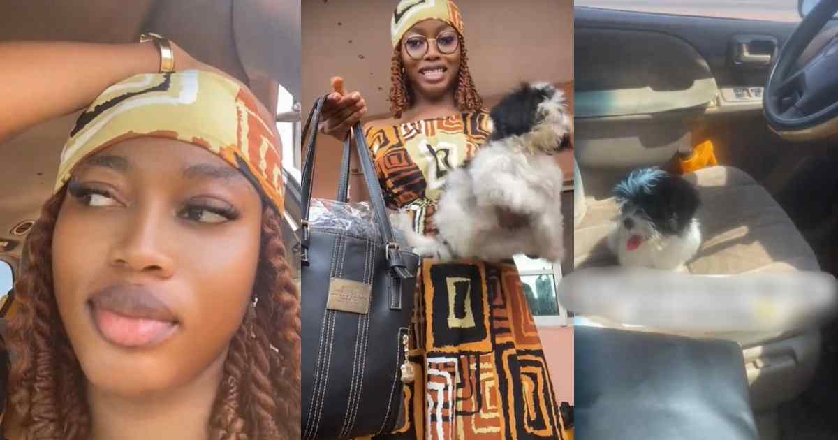 “He refused to leave the driver’s seat” – Lady shares her first-time experience traveling with her pet dog on public transport (WATCH)