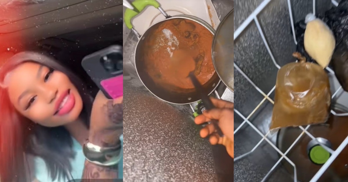 Lady disappo!nted after visiting her friend’s house hungry, only to find all her food frozen (VIDEO)