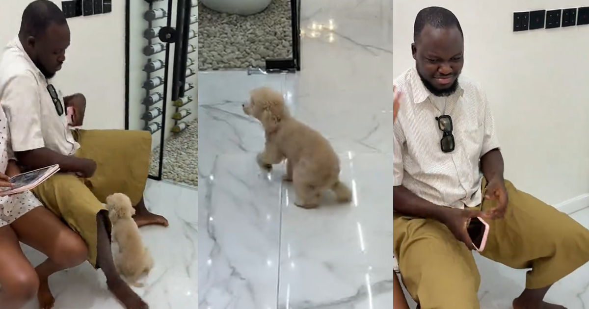 “shamɘ tie me two wrapper” – Man gets scarɘd after his friend releases her dog during his visit to her house (WATCH)