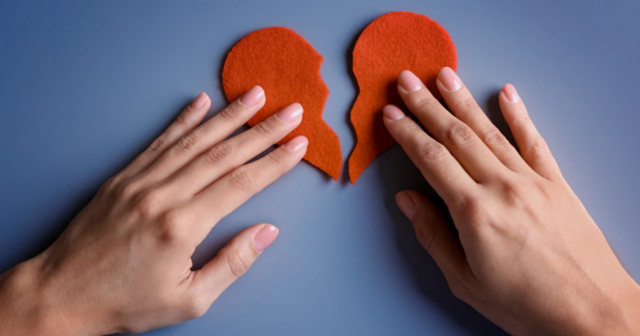 WPD-Top-Blog-Image-100