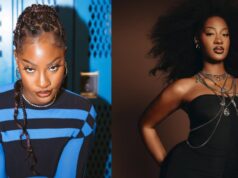 “I have achieved beyond my dreams since leaving my 9–5” – Tems opens up