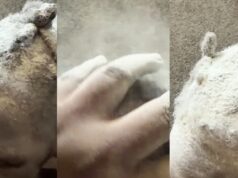 “What is the meaning of this?” – Nigerian mum fumes after eldest daughter pours powder on younger sister’s hair (Watch)