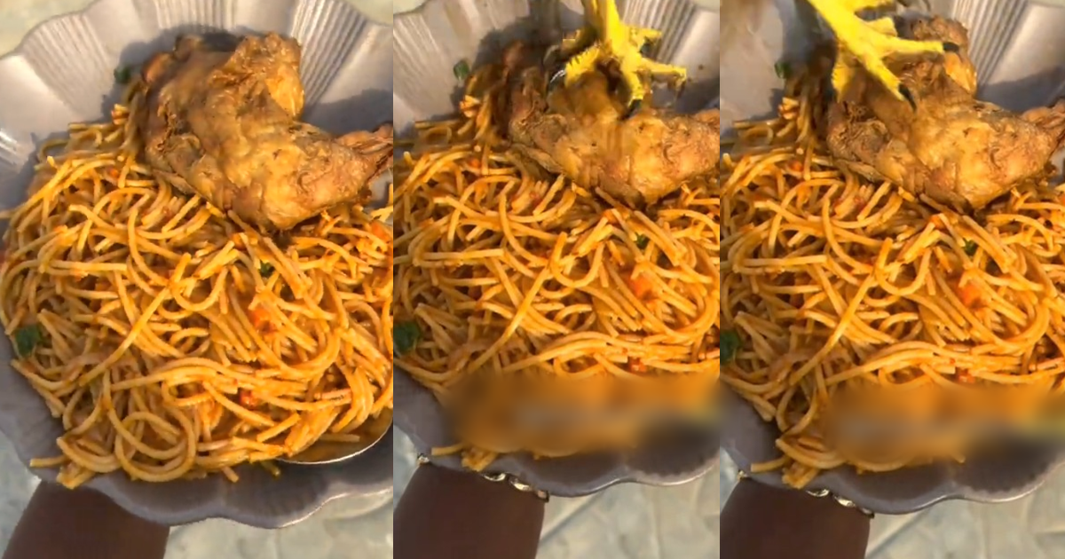 Moment a bird almost carried a lady’s food while she was making a video (Watch)