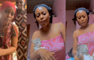 “E never even reach 1 week wey she do this thing o” – Lady faces backlash after mistreating pet cat given for her anger management (WATCH)