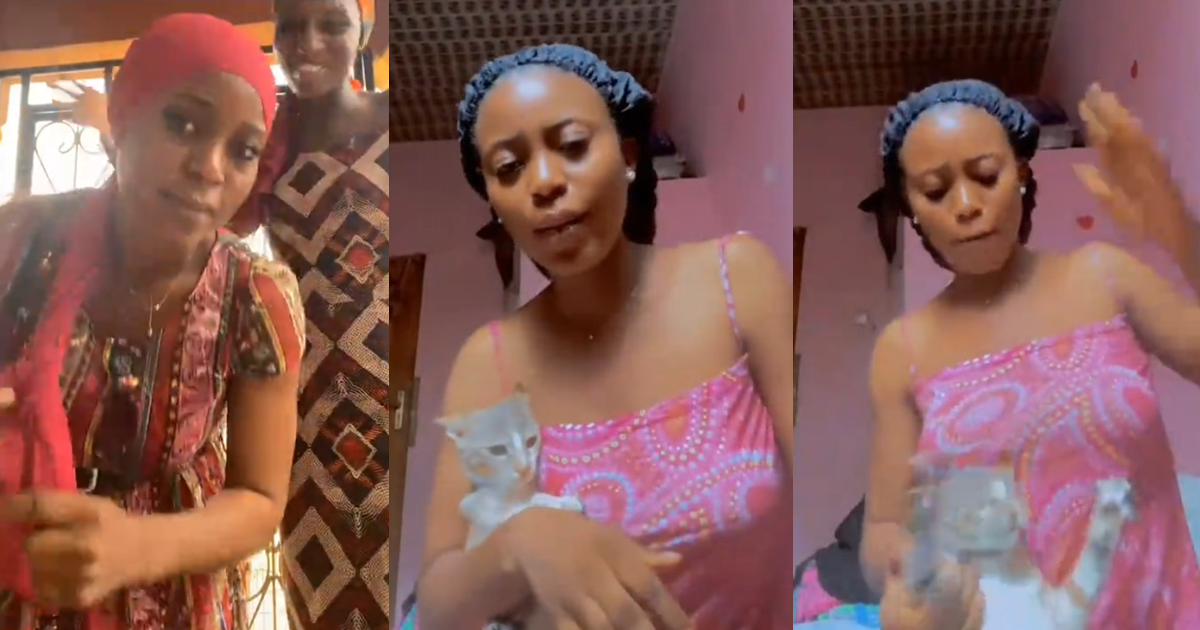 “E never even reach 1 week wey she do this thing o” – Lady faces backlash after mistreating pet cat given for her anger management (WATCH)