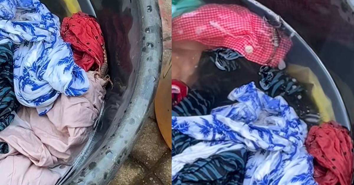 “I have rinsed 2 clothes out of that water before i noticed it” – Okirika vendor pan!cs after discovering a scorpion while washing new clothes (Video)