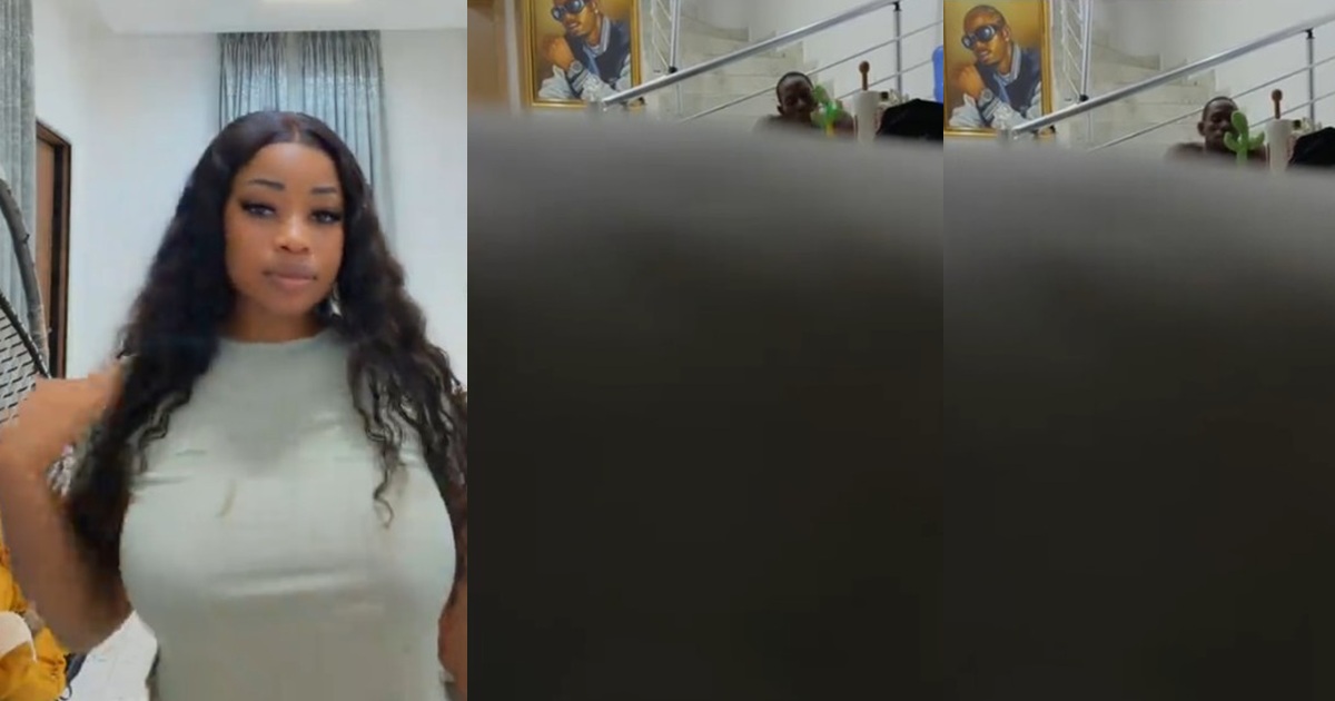 “I bought it for myself but he has inherited it” – Woman films her husband having fun with a talking cactus toy (Watch)