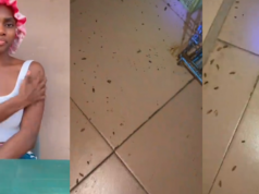 “spray all 3, stay outside for at least 5 hrs” – Lady shares how she sprayed three insecticides in her room to stop cockroaches (Video)