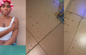 “spray all 3, stay outside for at least 5 hrs” – Lady shares how she sprayed three insecticides in her room to stop cockroaches (Video)