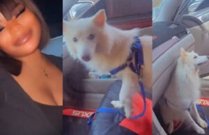 Drama unfolds in a car as pet dog refuses to vacate the front seat for the owner’s sister (Watch)