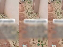 Man raises concern after spotting house secured with broken bottles (Video)