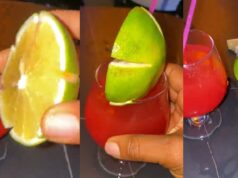 Lady stunned after lounge serves cocktail with half an orange (WATCH)
