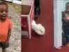 Little boy breaks down in tears after touching rabbit despite asking to start an animal farm (Video)