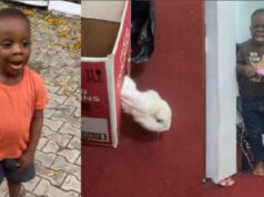Little boy breaks down in tears after touching rabbit despite asking to start an animal farm (Video)