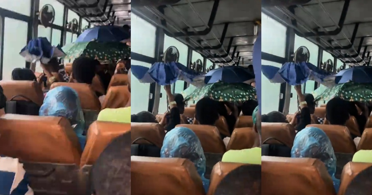Viral video of passengers using umbrellas inside a public bus during heavy rain sparks reactions (Watch)