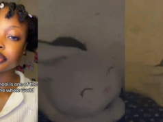 Student sparks reactions after sharing video of giant rat on her university bed (WATCH)