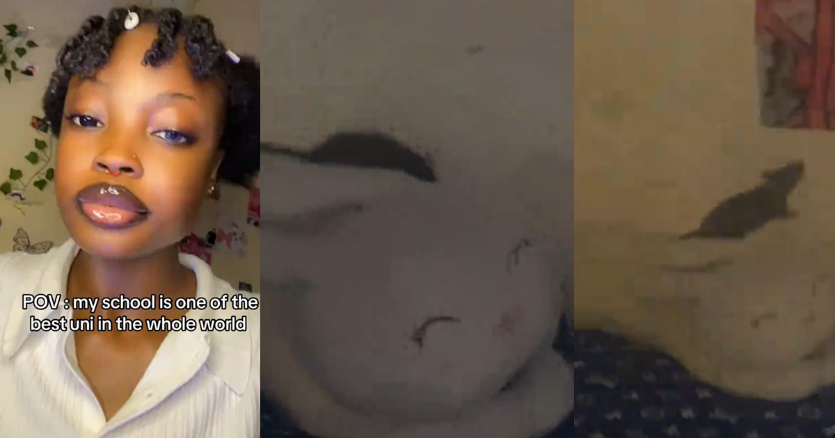 Student sparks reactions after sharing video of giant rat on her university bed (WATCH)