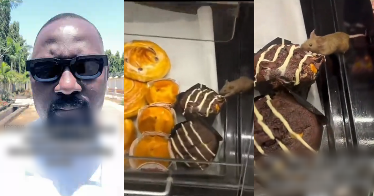 Man captures rat feasting on chocolate doughnut while trying to buy doughnuts at a restaurant (Watch)