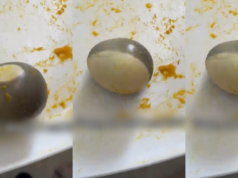 “Am I safe?” – Man shares his concerns after discovering two-coloured egg in his yam porridge (Video)